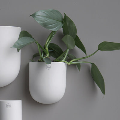 Vägghängd kruka CUT medium