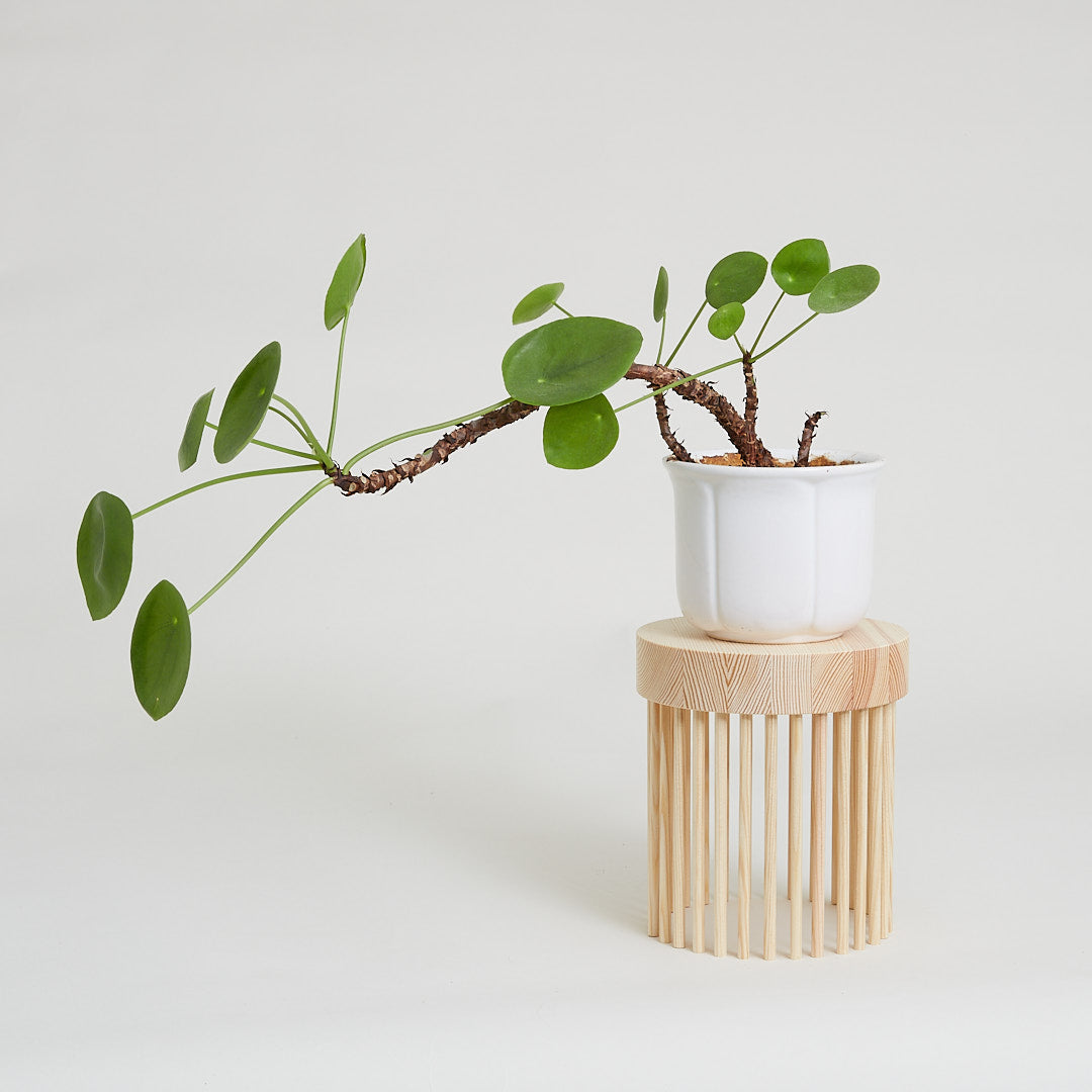 Krukplatta ERUCA small