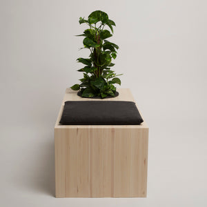 Bänk NATURALIS