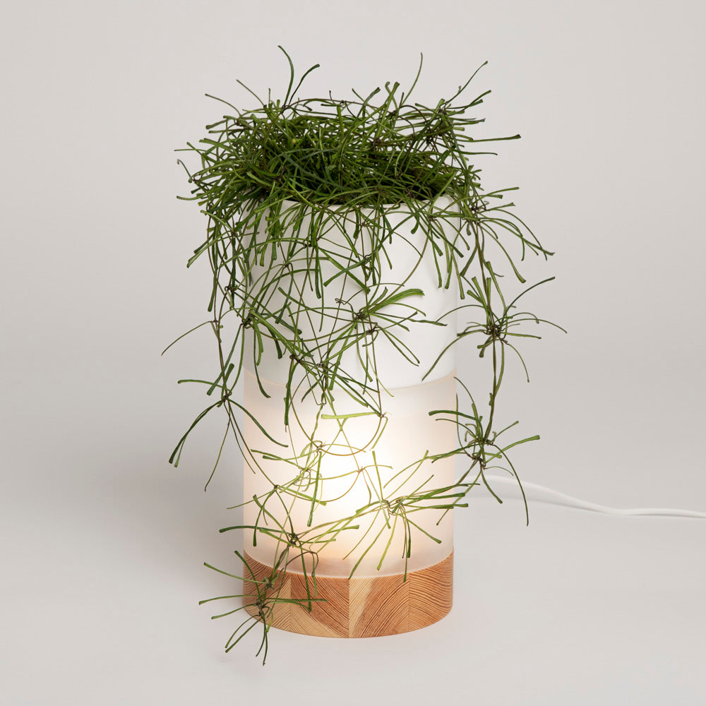 Bordslampa LUX